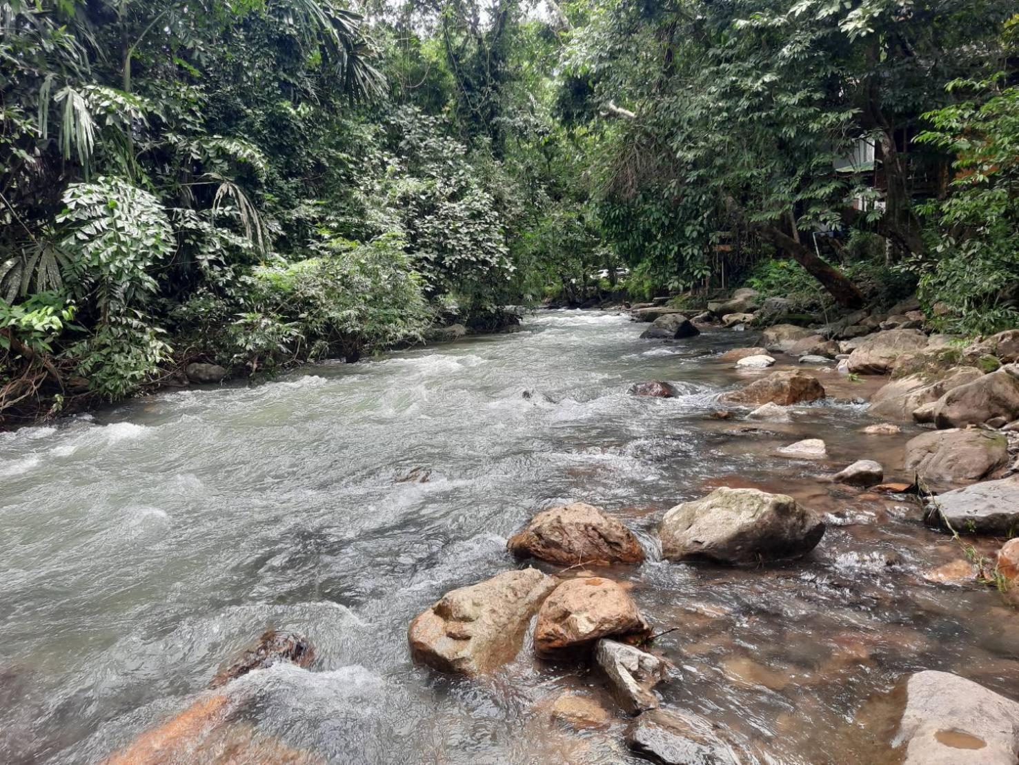 Tree Tops River Huts Khao Sok National Park Exterior photo