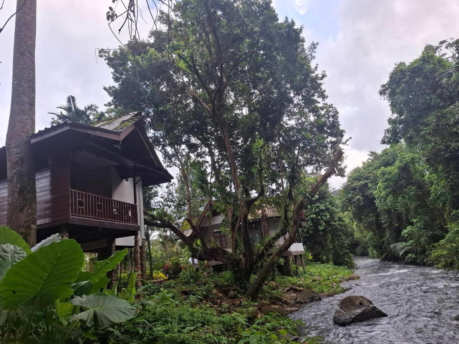 Tree Tops River Huts Khao Sok National Park Exterior photo